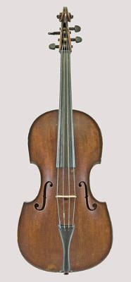 Viola