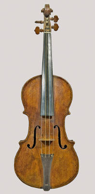 Violin