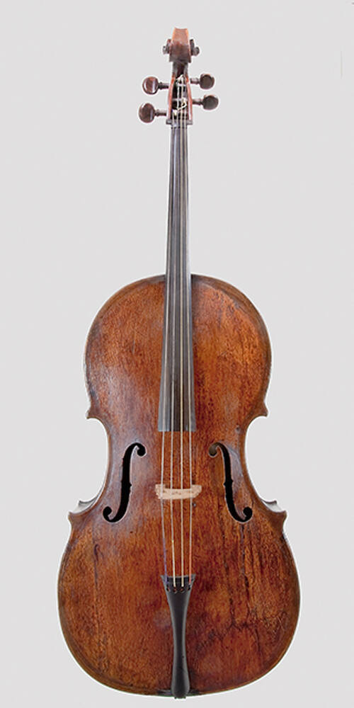 Bass viola da gamba