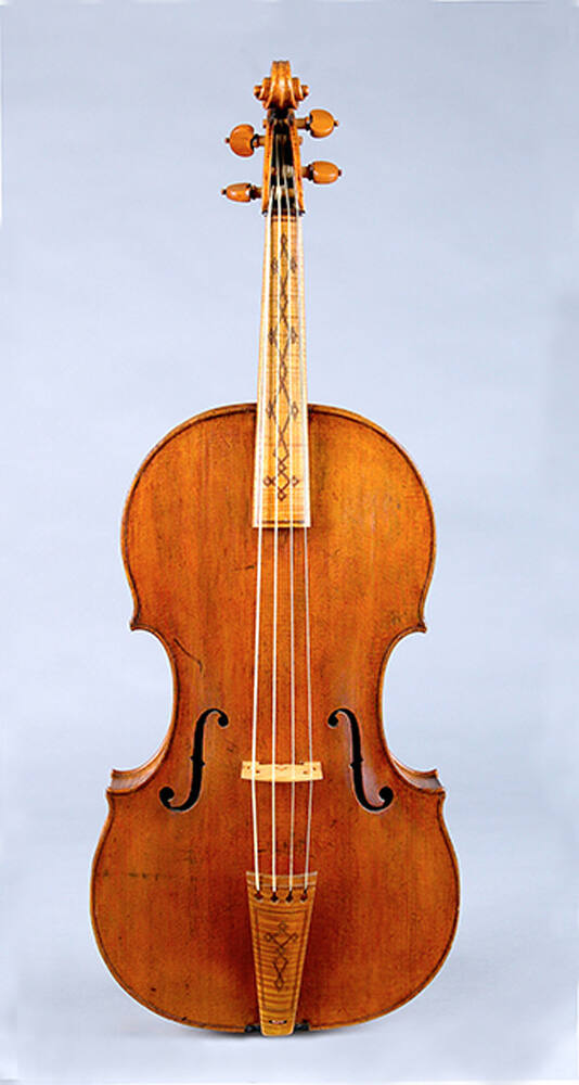 Viola
