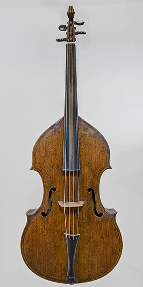 Bass viola da gamba