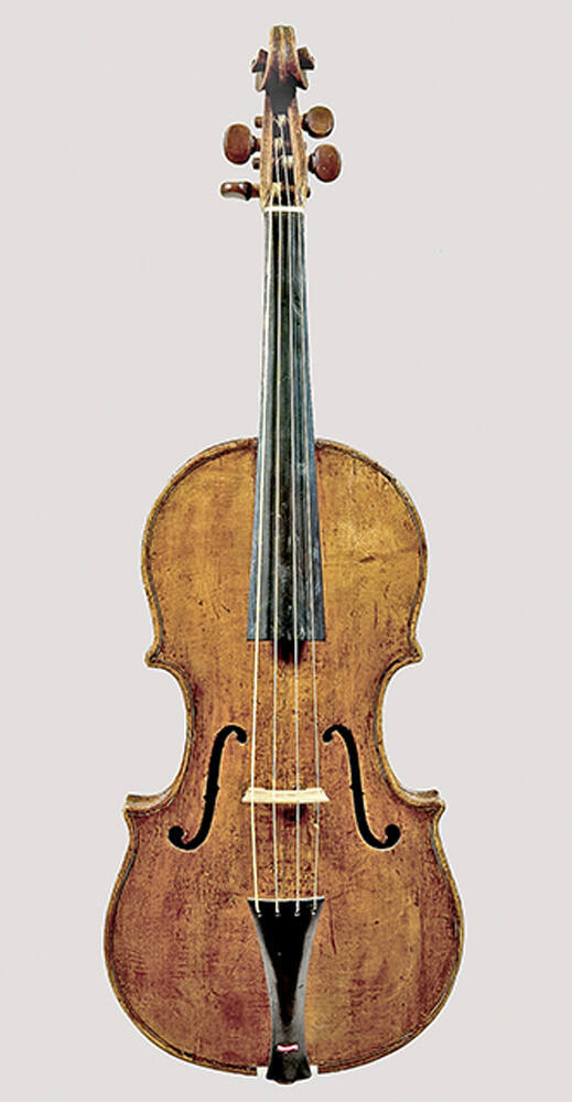 Violin