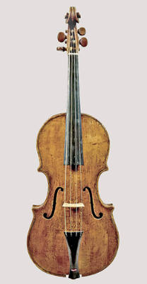 Violin