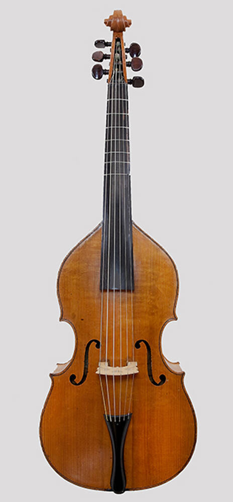 Bass viola da gamba