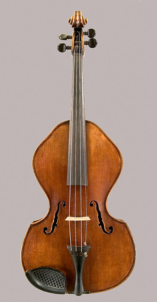 Viola