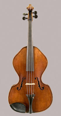 Viola