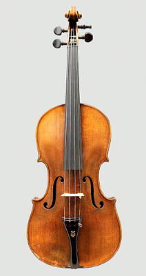 Violin