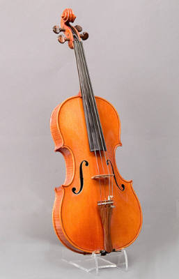 Viola