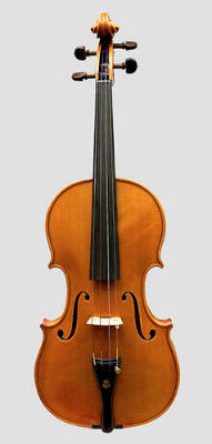 Violin