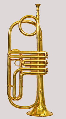 Trumpet, G, E-flat