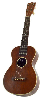 Image representation for Ukuleles