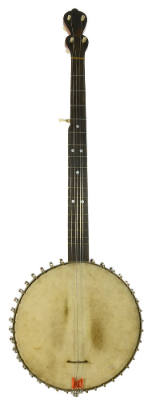 5-string banjo