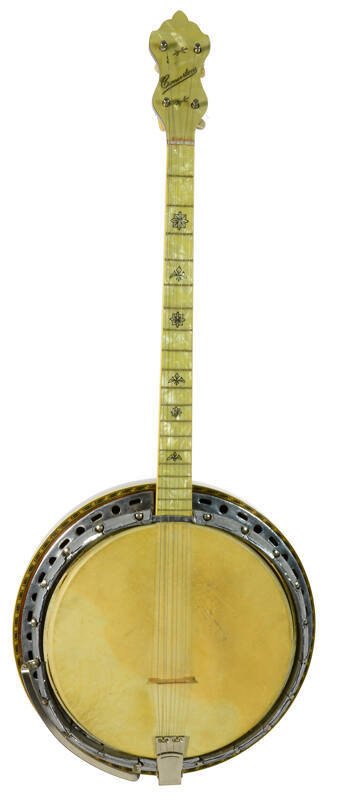 Tenor resonator banjo