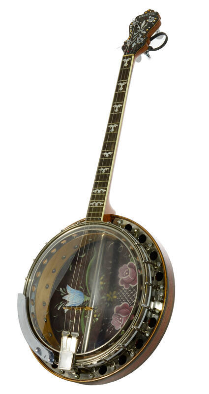 Tenor resonator banjo