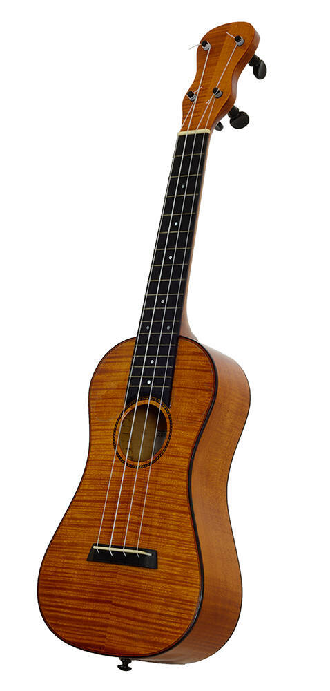 Concert ukulele