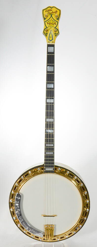 Plectrum banjo