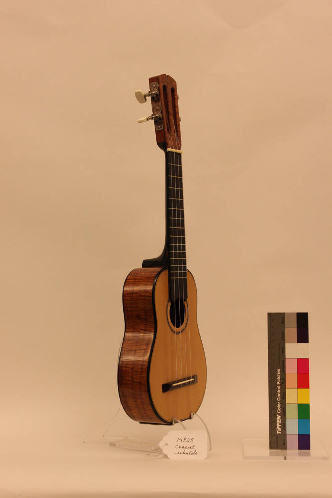 Ukulele