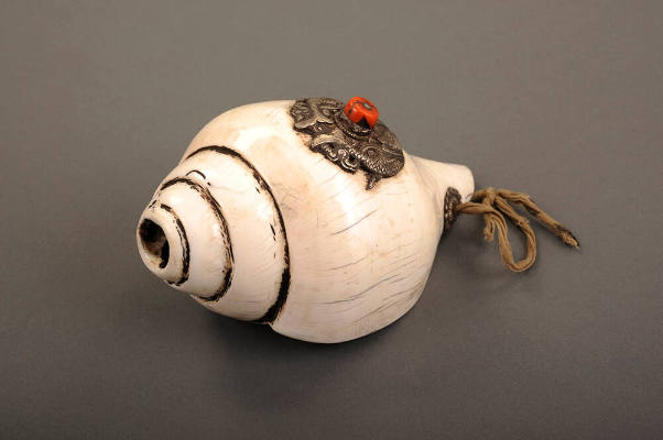 Conch-shell trumpet