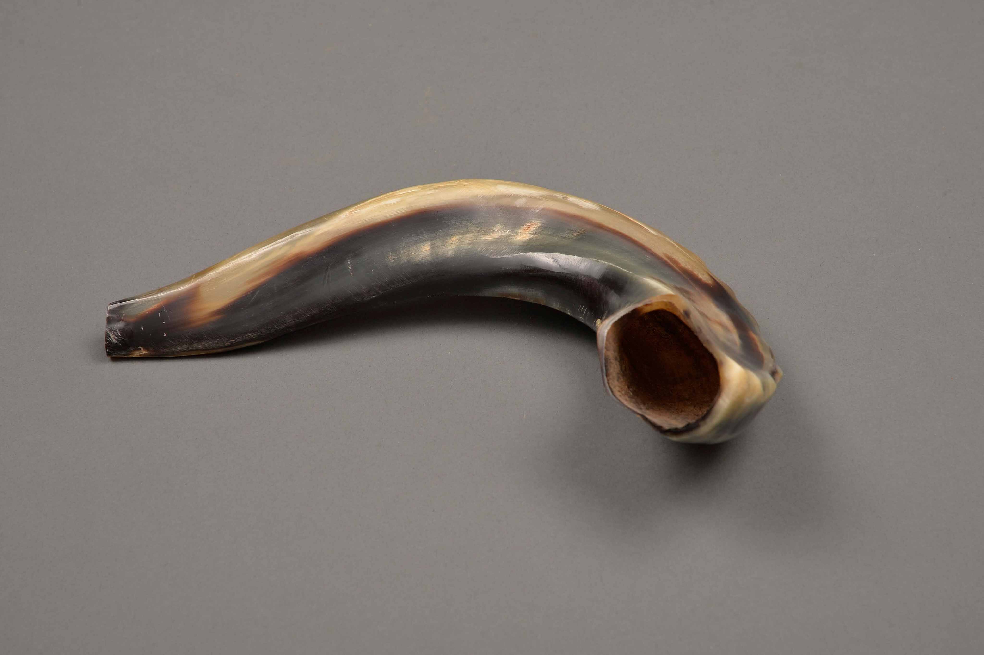 Ashkenazic shofar