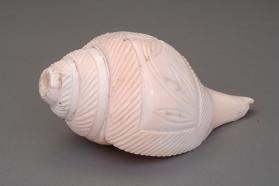Conch-shell trumpet
