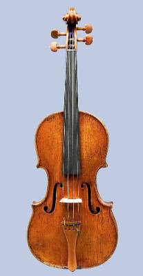 Violin