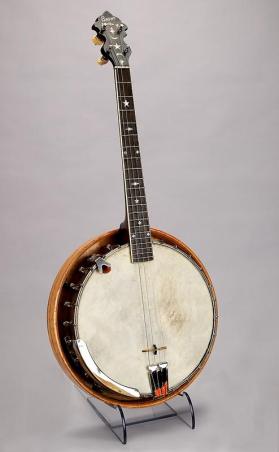 Tenor resonator banjo