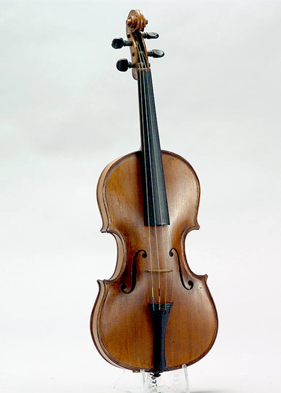 Violin