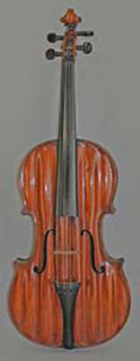 Viola