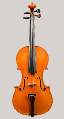 Violin