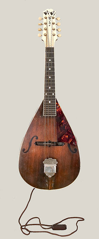 Electric mandola