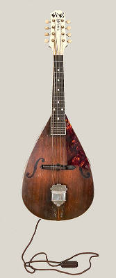 Electric Mandolins