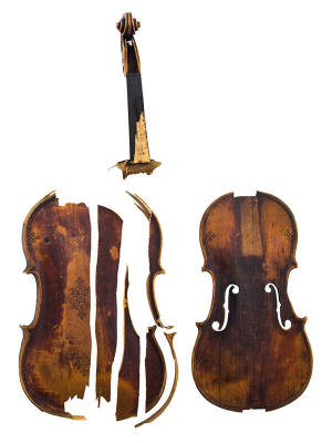 Violin