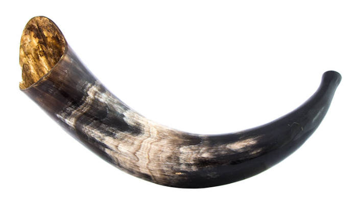 End-blown horn