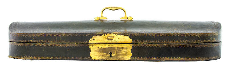 Double violin case