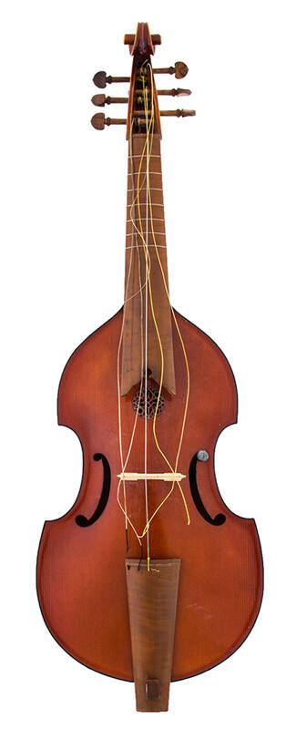 Tenor viola da gamba