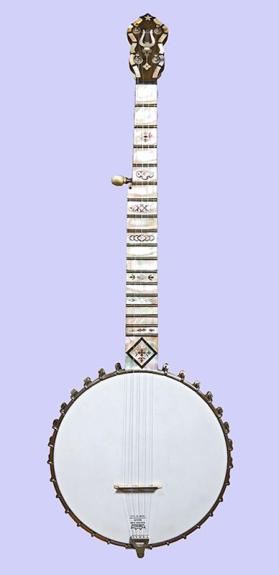 5-string banjo