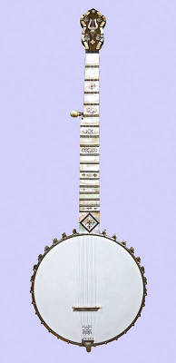 5-string banjo