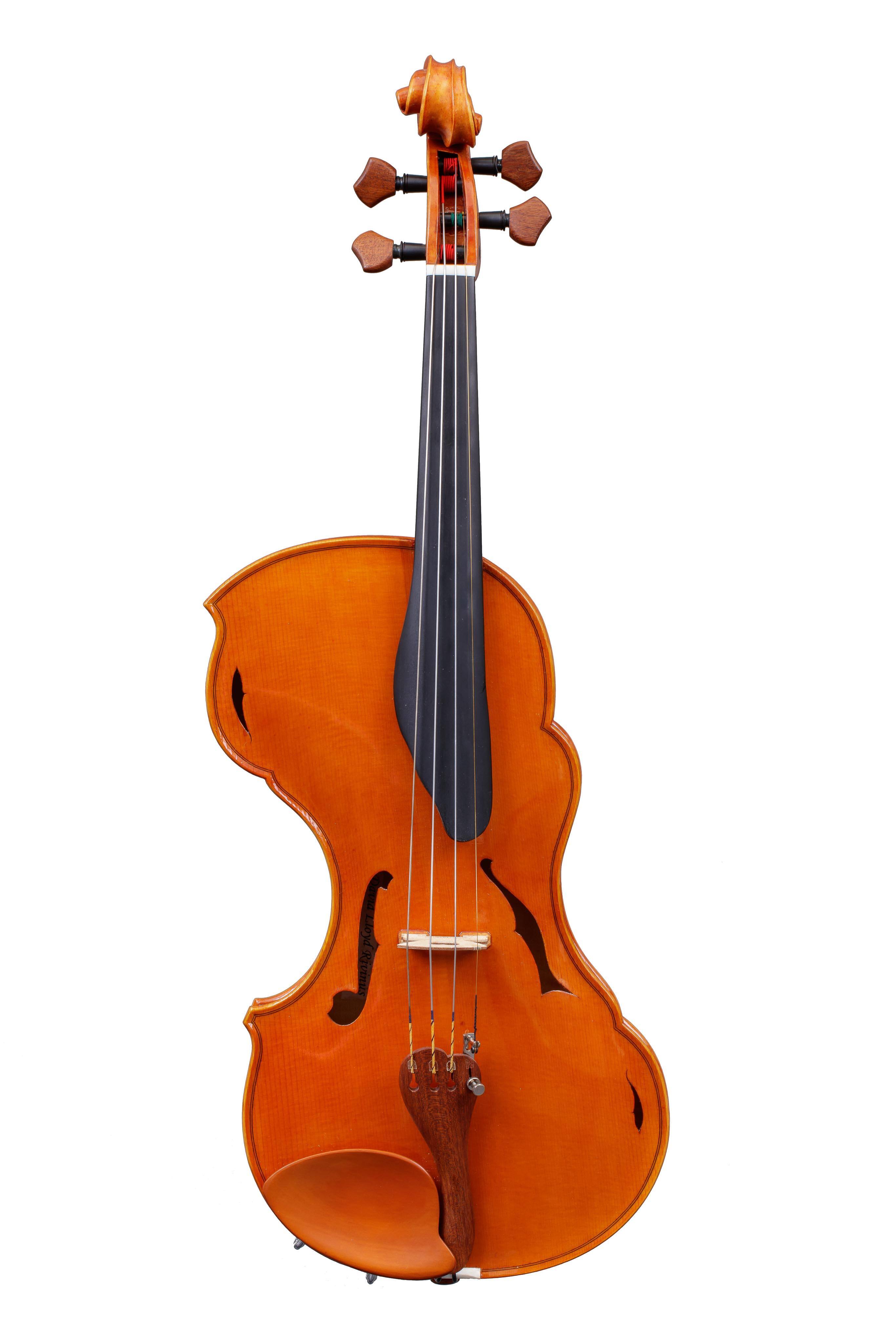 Violin