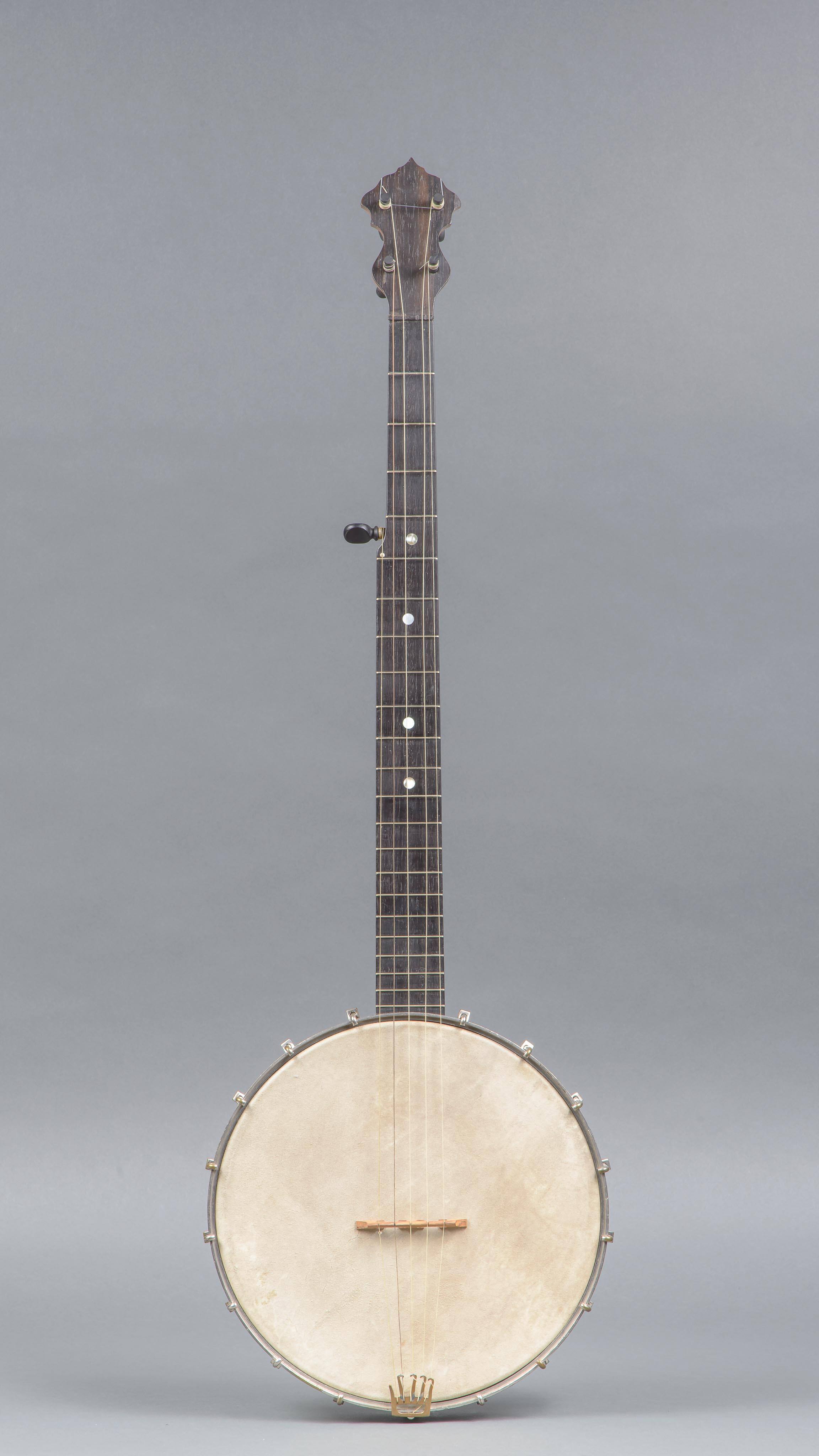 5-string banjo