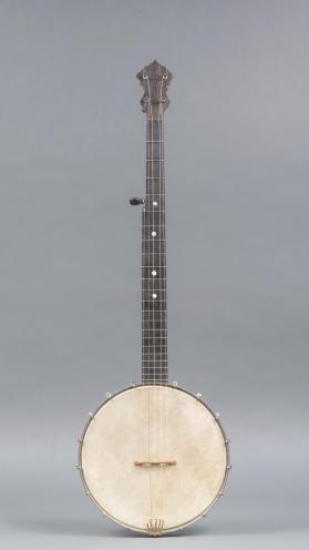 5-string banjo