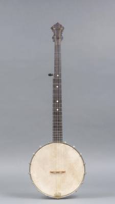 5-string banjo