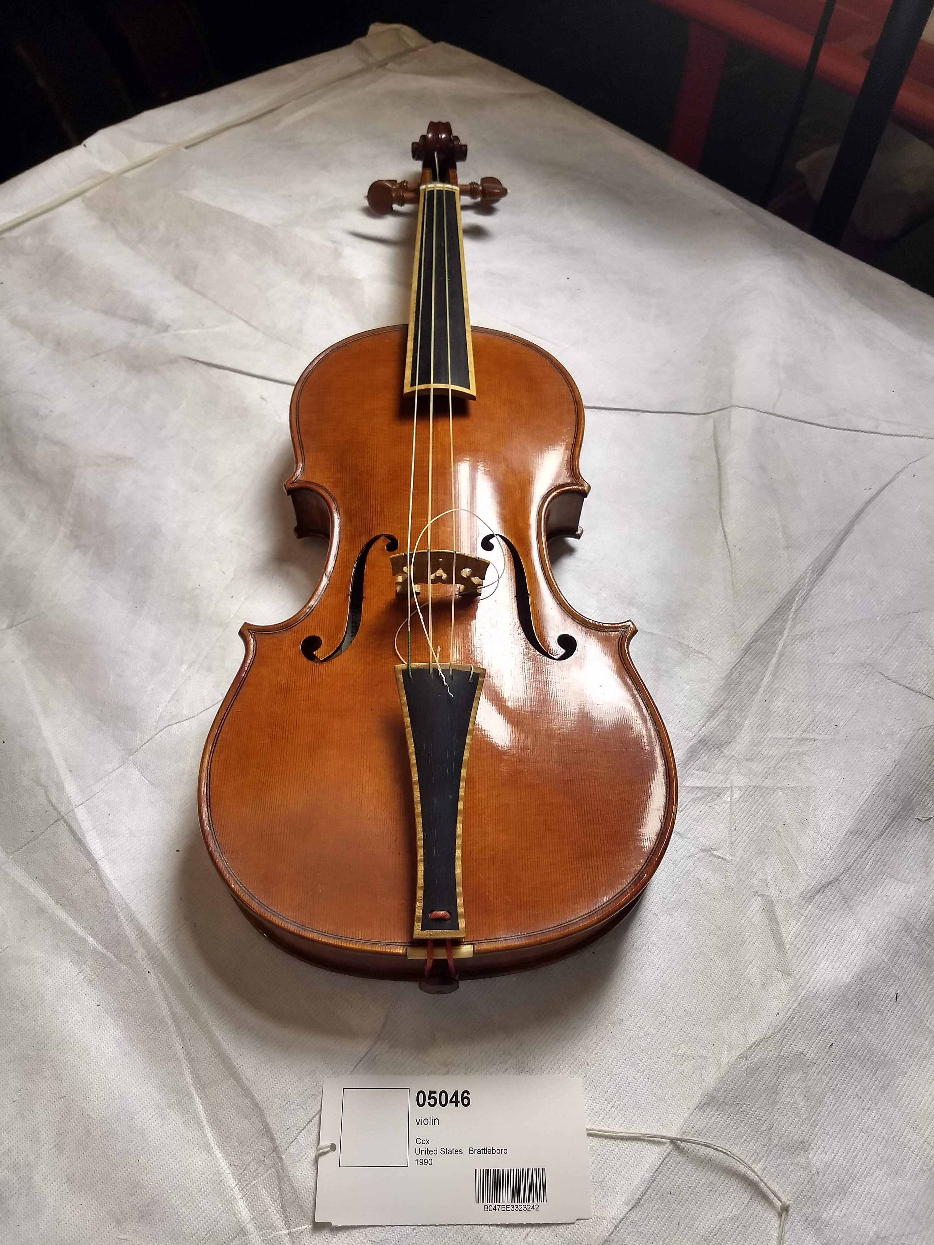 Violin