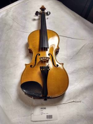 Violin