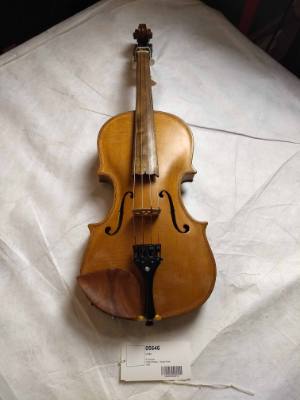Violin