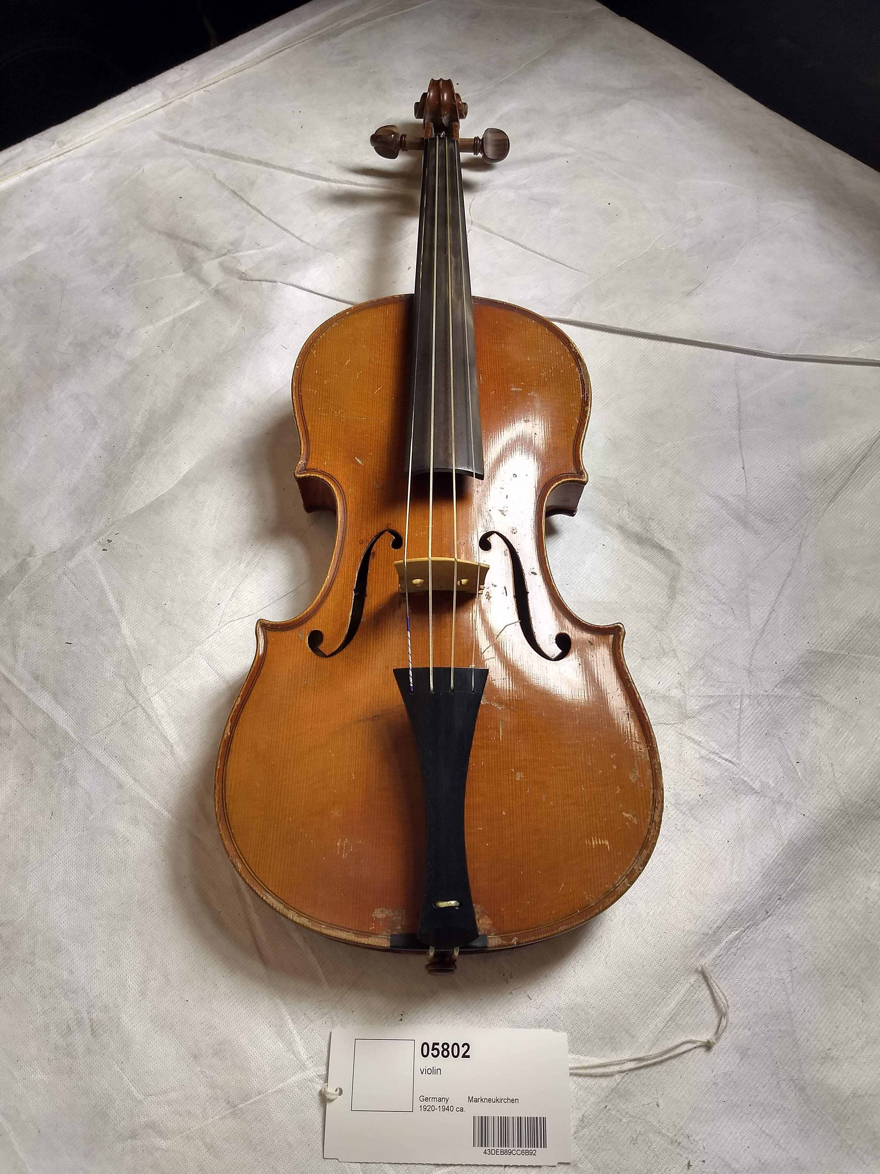 Violin