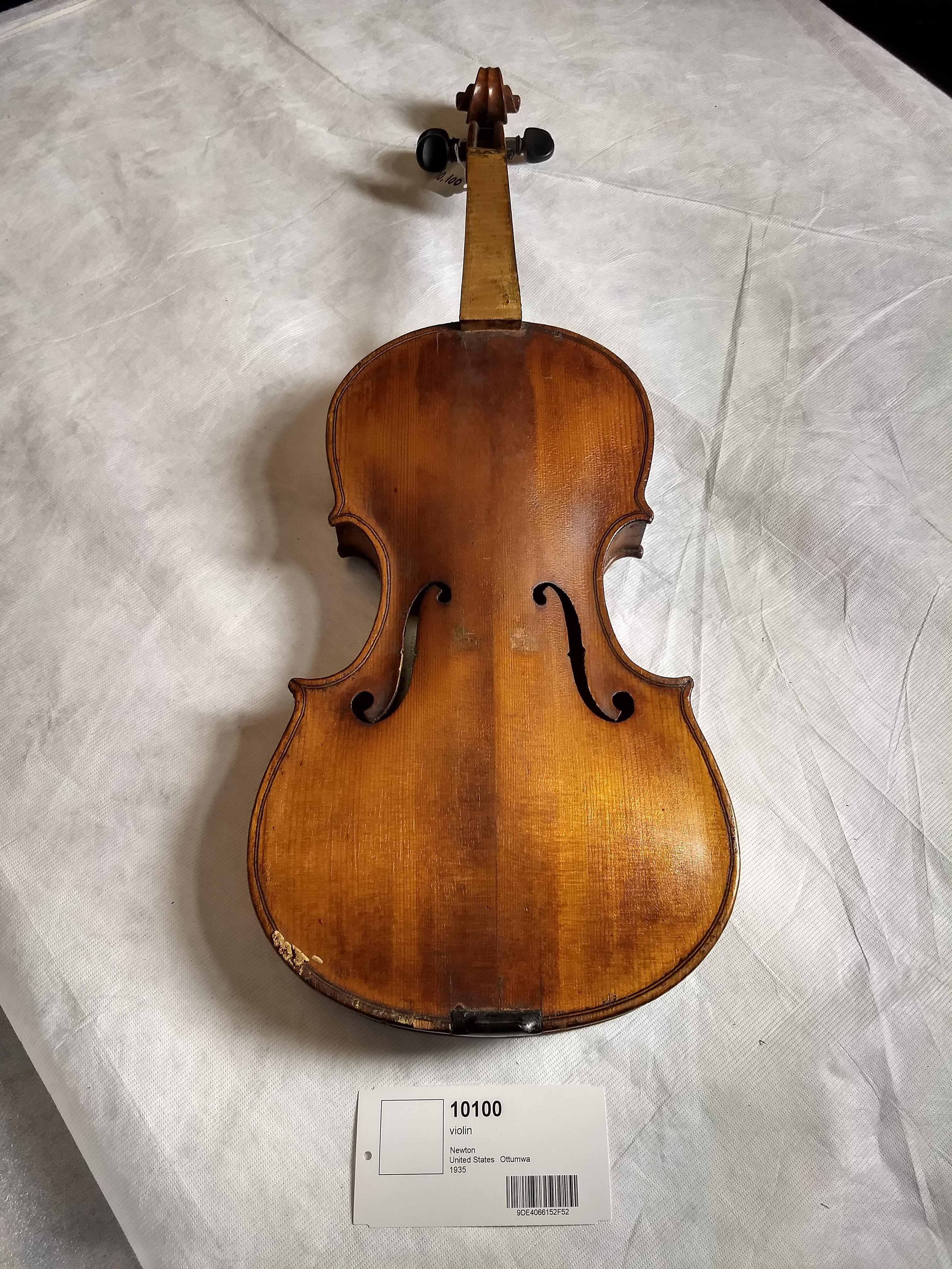 Violin