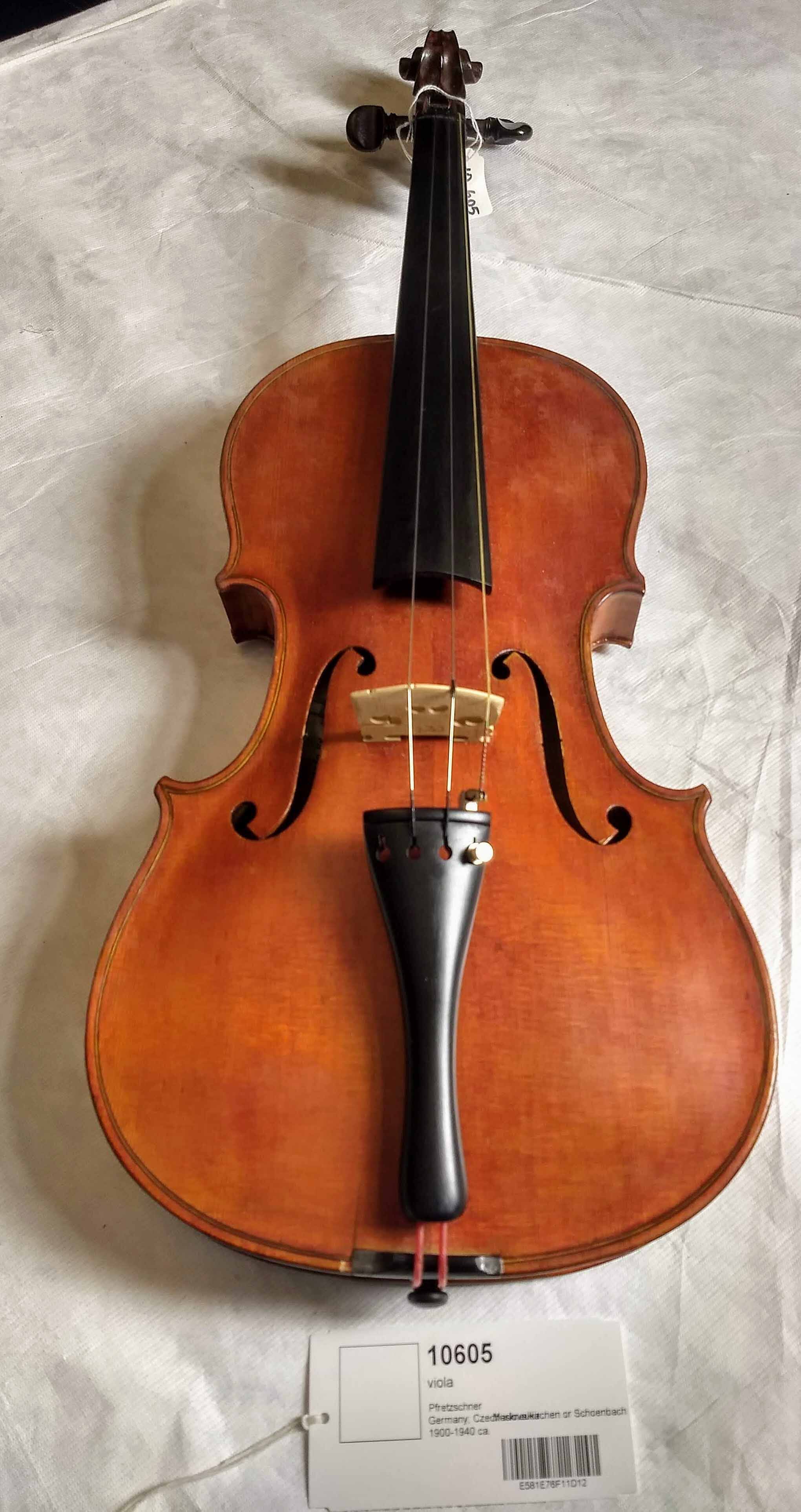 Viola