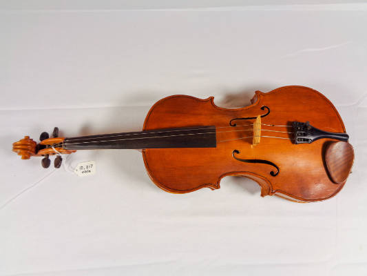 Viola