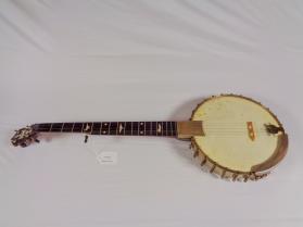 5-string banjo