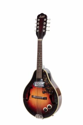 Electric mandolin
